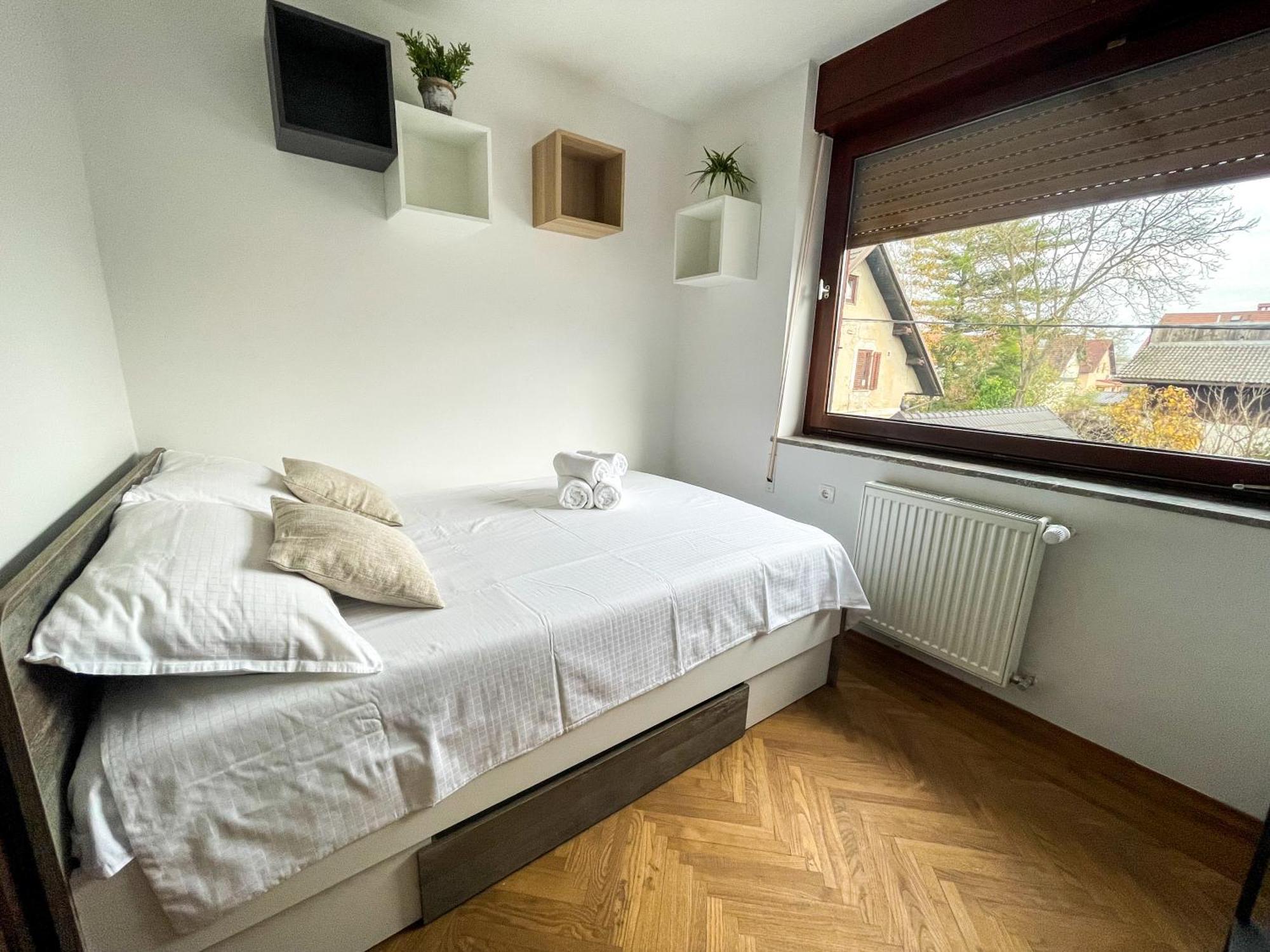 Spacious Cozy Apartment リュブリャナ エクステリア 写真