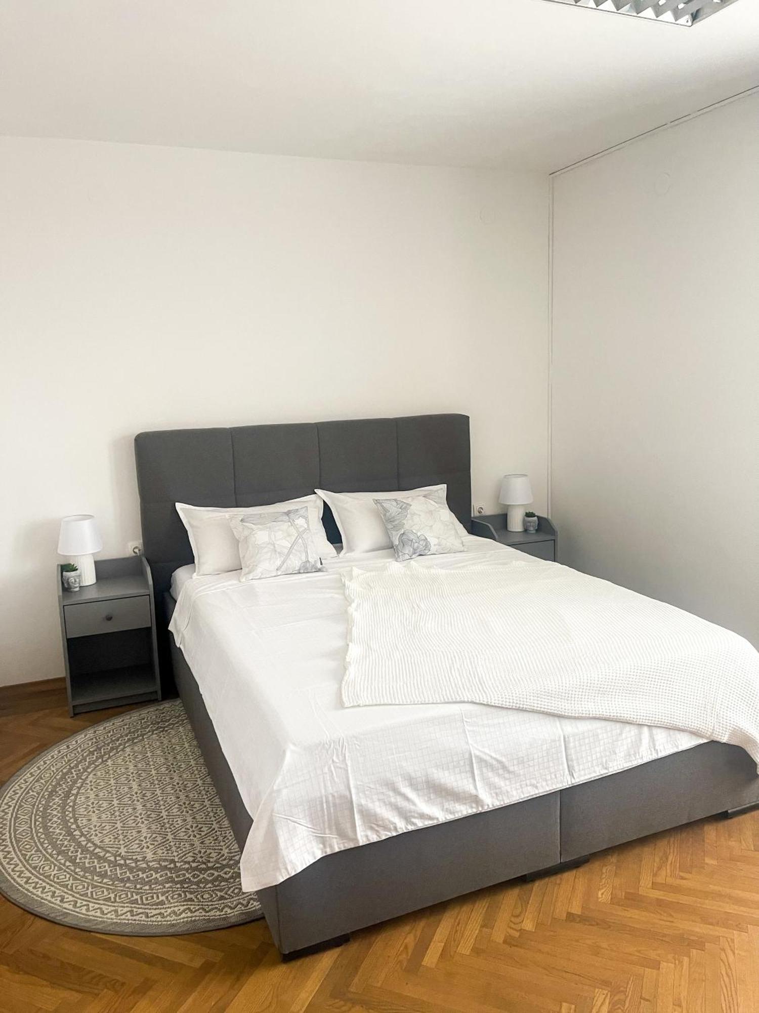 Spacious Cozy Apartment リュブリャナ エクステリア 写真